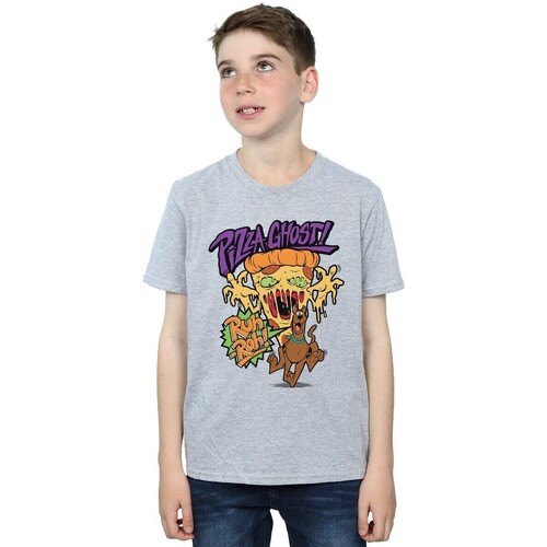 Vêtements Garçon T-shirts manches courtes Scooby Doo Pizza Ghost Gris