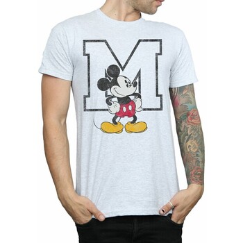 Vêtements Homme T-shirts manches longues Disney M Gris