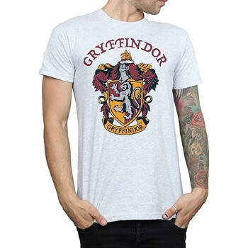 Vêtements Homme New year new you Harry Potter  Gris