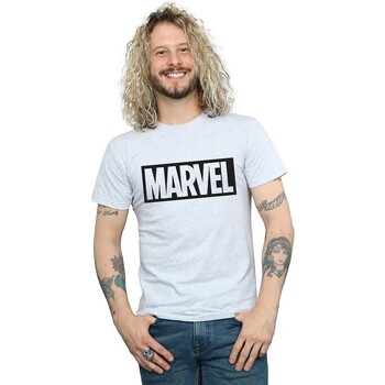 Vêtements Homme T-shirts manches longues Marvel  Gris