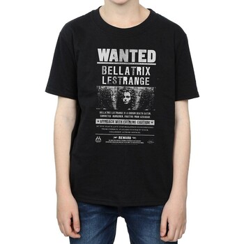 Vêtements Garçon T-shirts manches courtes Harry Potter BI1544 Noir
