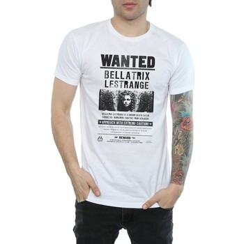 Vêtements Homme T-shirts manches longues Harry Potter BI1546 Blanc