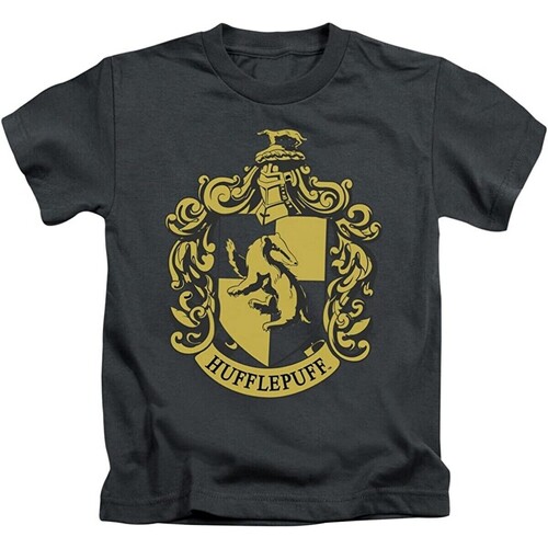 Vêtements Fille T-shirts manches longues Harry Potter  Noir