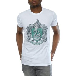 Vêtements Homme T-shirts manches longues Harry Potter BI1617 Gris