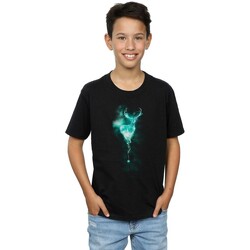 Vêtements Garçon T-shirts manches courtes Harry Potter Patronus Noir