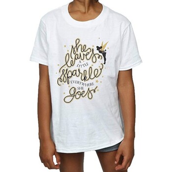 Vêtements Fille T-shirts manches longues Tinkerbell BI1662 Blanc