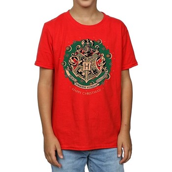 Vêtements Garçon T-shirts manches longues Harry Potter  Rouge