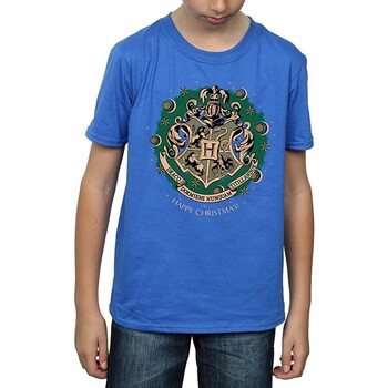 Vêtements Garçon T-shirts manches longues Harry Potter  Bleu
