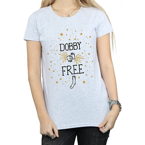 Vêtements Femme T-shirts manches longues Harry Potter Dobby Is Free Gris