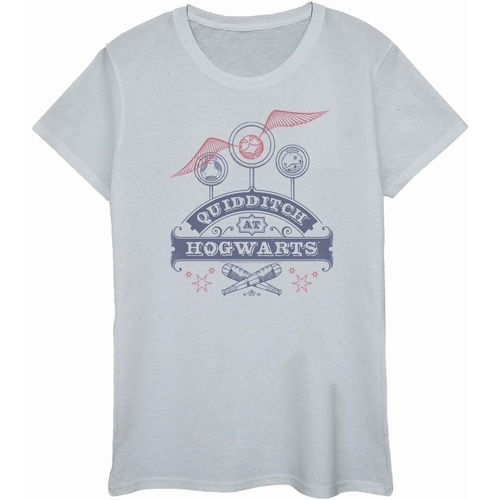 Vêtements Femme T-shirts manches longues Harry Potter Quidditch At Hogwarts Gris