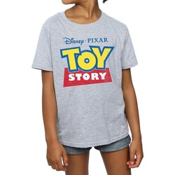 Vêtements Fille T-shirts manches longues Toy Story BI1709 Gris