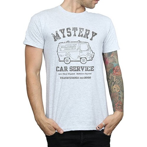 Vêtements Homme T-shirts manches longues Scooby Doo Mystery Car Service Gris