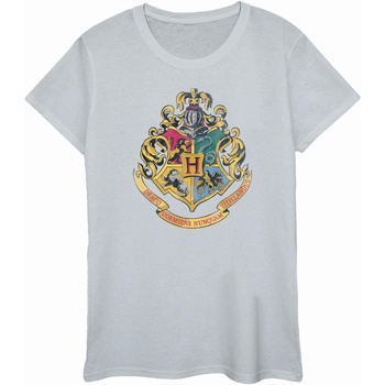 Vêtements Femme T-shirts manches longues Harry Potter BI1741 Gris