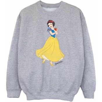 Vêtements Fille Sweats Snow White And The Seven Dwarfs Classic Gris