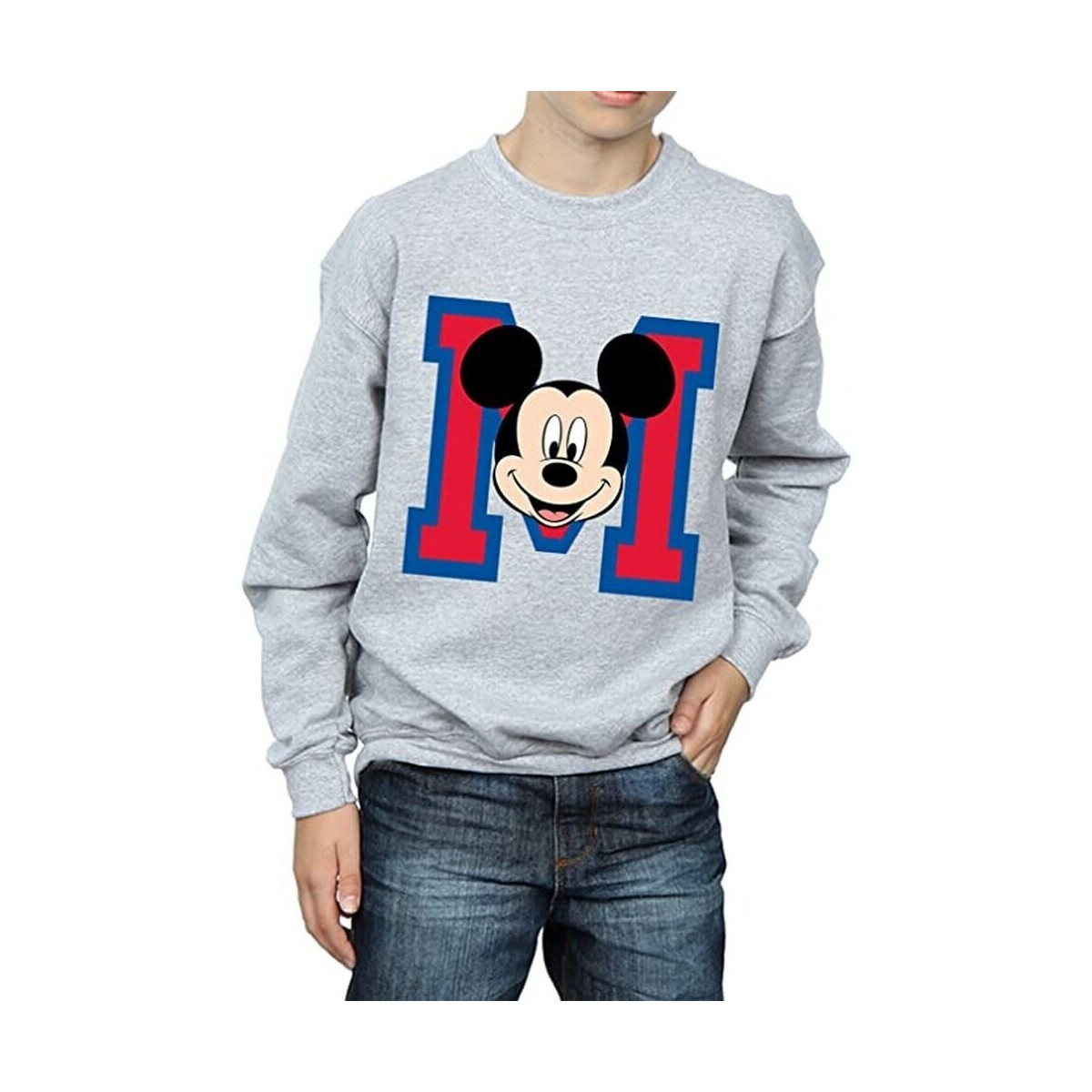 Vêtements Garçon Sweats Disney BI1832 Gris