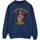 Vêtements Femme Sweats Harry Potter BI1853 Bleu