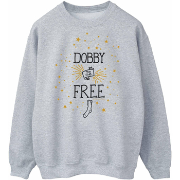 Vêtements Homme Sweats Harry Potter Dobby Is Free Gris