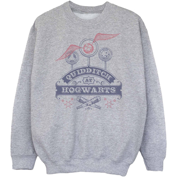 Vêtements Fille Sweats Harry Potter Quidditch At Hogwarts Gris