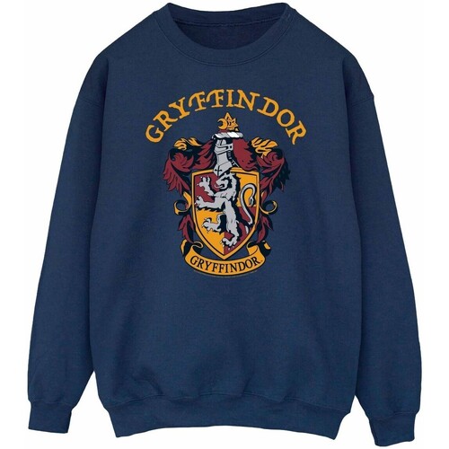 Vêtements Homme Sweats Harry Potter  Bleu