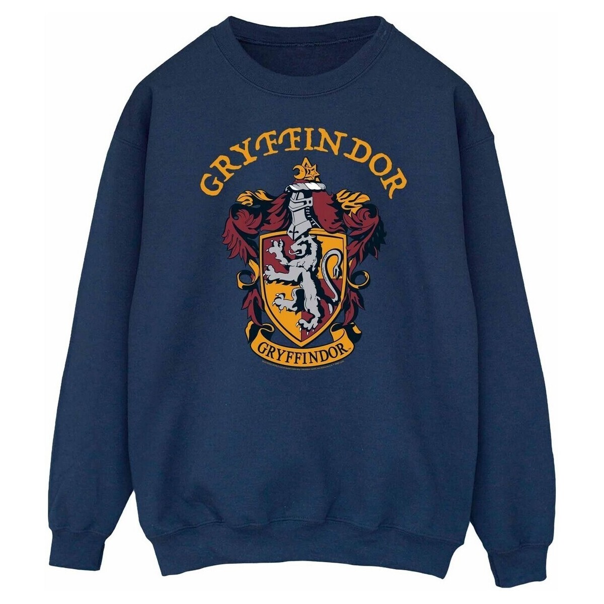 Vêtements Homme Sweats Harry Potter  Bleu