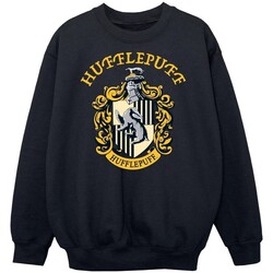 Vêtements Garçon Sweats Harry Potter  Noir