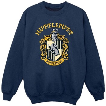 Vêtements Garçon Sweats Harry Potter  Bleu