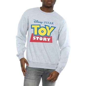 Vêtements Homme Sweats Toy Story  Gris
