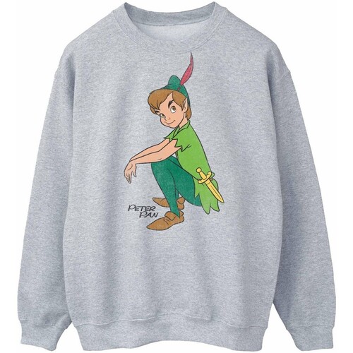 Vêtements Homme Sweats Peter Pan Classic Gris