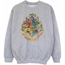 Vêtements Garçon Sweats Harry Potter  Gris