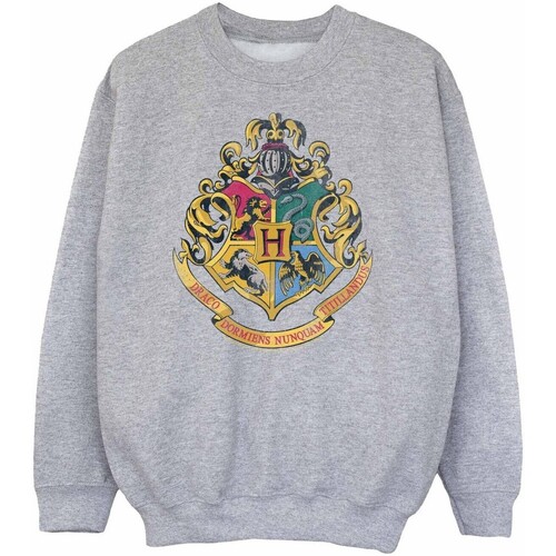 Vêtements Garçon Sweats Harry Potter BI1985 Gris