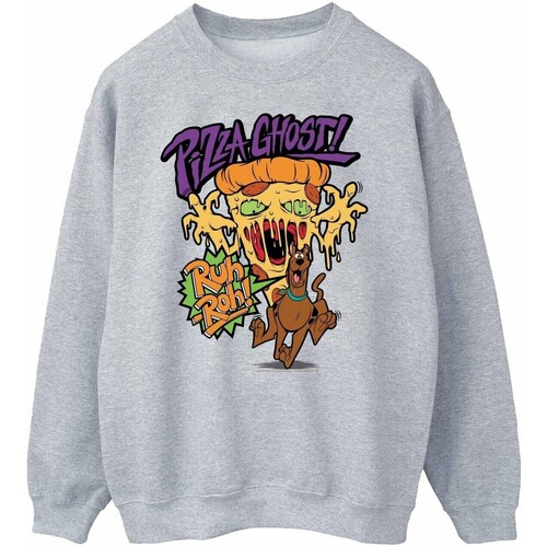 Vêtements Homme Sweats Scooby Doo Pizza Ghost Gris