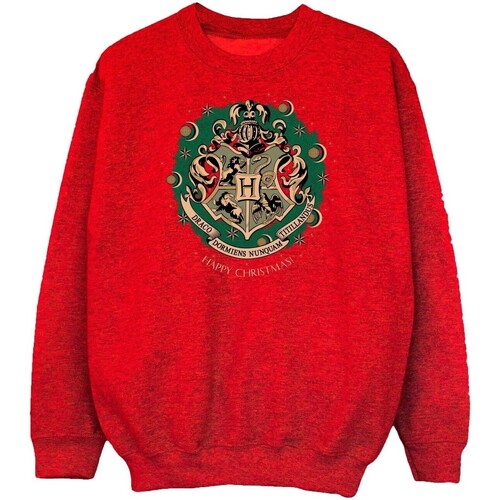 Vêtements Garçon Sweats Harry Potter BI2011 Rouge