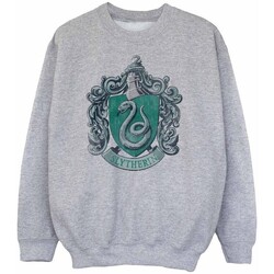 Vêtements Garçon Sweats Harry Potter Slytherin Gris