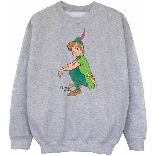 Vêtements Garçon Sweats Peter Pan BI2113 Gris