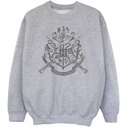 Vêtements Fille Sweats Harry Potter BI2116 Gris