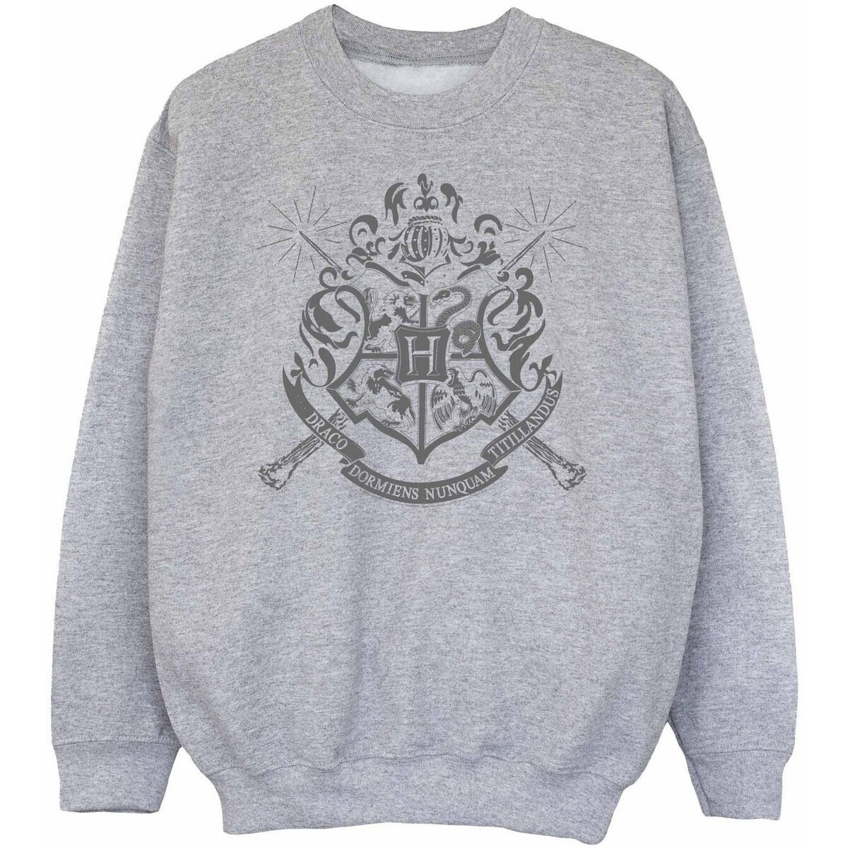 Vêtements Fille Sweats Harry Potter BI2116 Gris