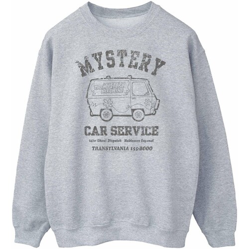 Vêtements Homme Sweats Scooby Doo Mystery Car Service Gris