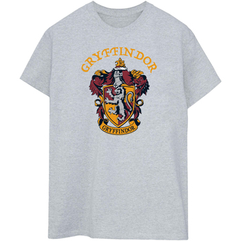 Vêtements Femme T-shirts manches longues Harry Potter BI2148 Gris
