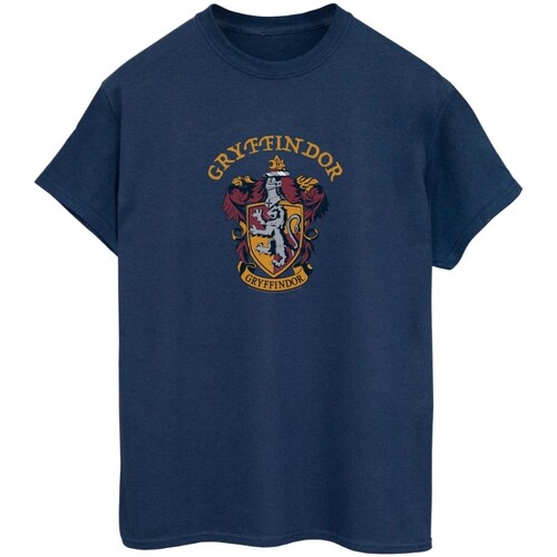 Vêtements Homme T-shirts manches longues Harry Potter BI2156 Bleu