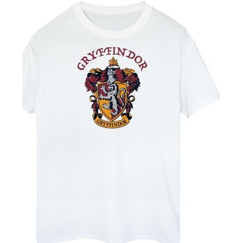Vêtements Homme T-shirts manches longues Harry Potter  Blanc