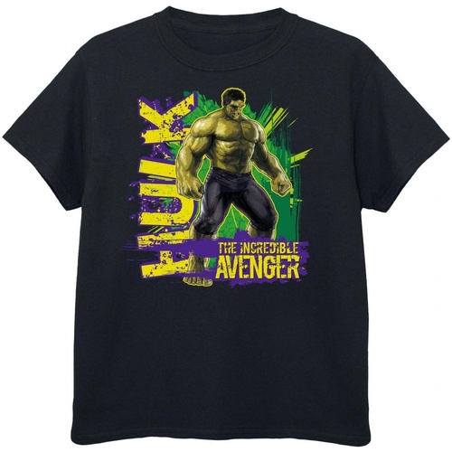 Vêtements Garçon T-shirts manches courtes Hulk Incredible Avenger Multicolore