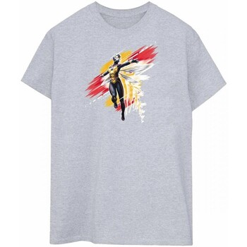 Vêtements Homme T-shirts manches longues Ant-Man And The Wasp Hope Gris