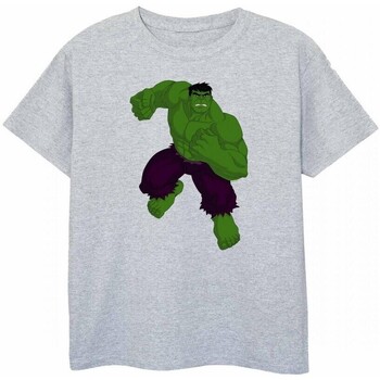Vêtements Garçon T-shirts manches courtes Hulk  Vert