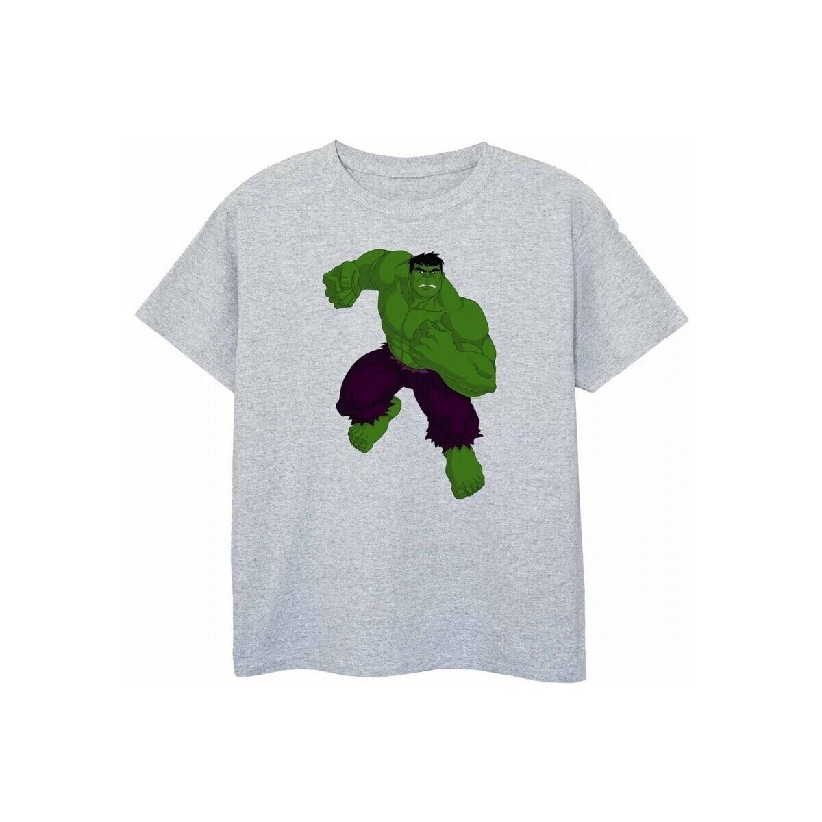 Vêtements Garçon T-shirts manches courtes Hulk BI364 Vert