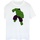 Vêtements Femme T-shirts manches longues Hulk BI378 Vert