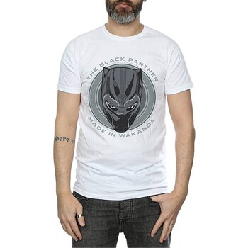 Vêtements Homme T-shirts manches longues Black Panther  Blanc