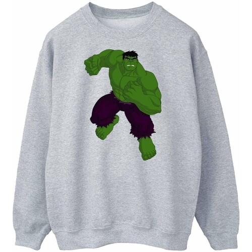 Vêtements Sweats Hulk Simple Gris