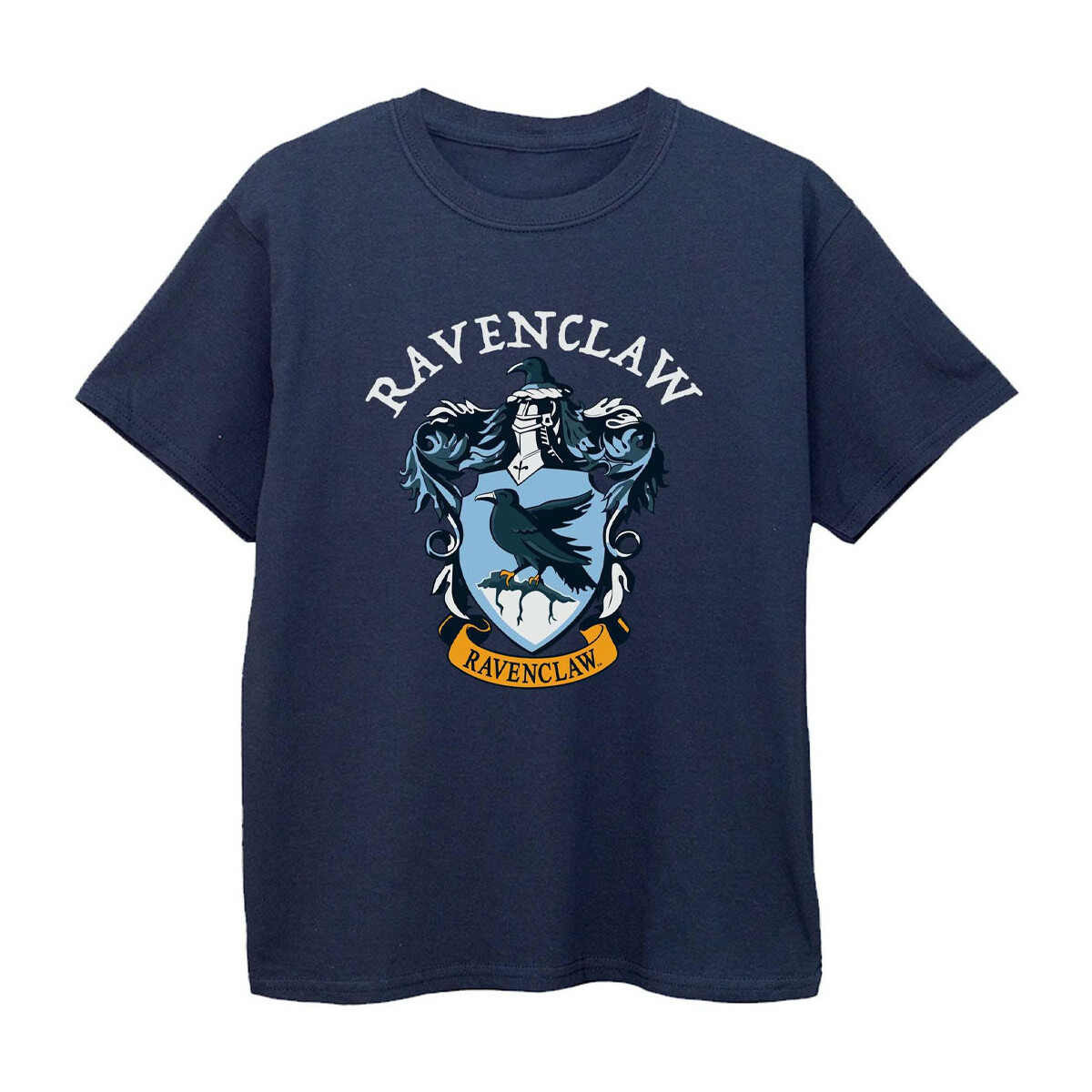 Vêtements Garçon T-shirts manches courtes Harry Potter BI423 Bleu