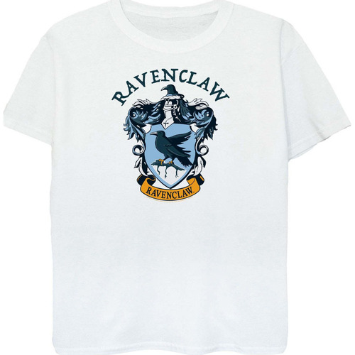 Vêtements Garçon Slytherin Chest Badge Harry Potter BI423 Blanc