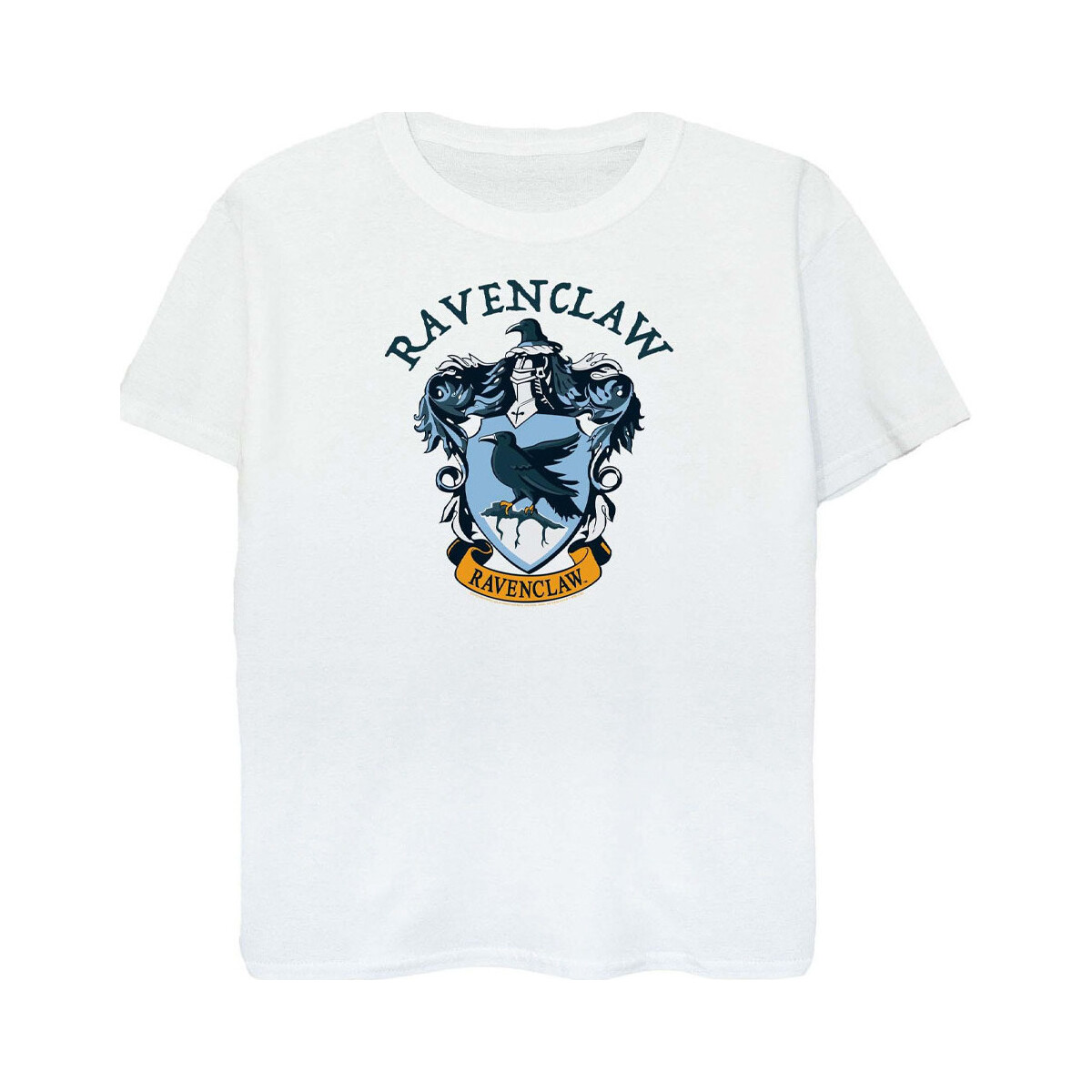 Vêtements Garçon T-shirts manches courtes Harry Potter BI423 Blanc